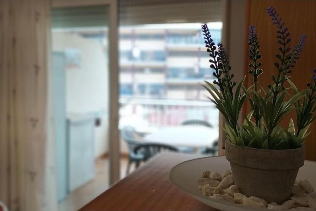 Acogedor Apartamento En La Playa De Canet Canet d'En Berenguer Bagian luar foto